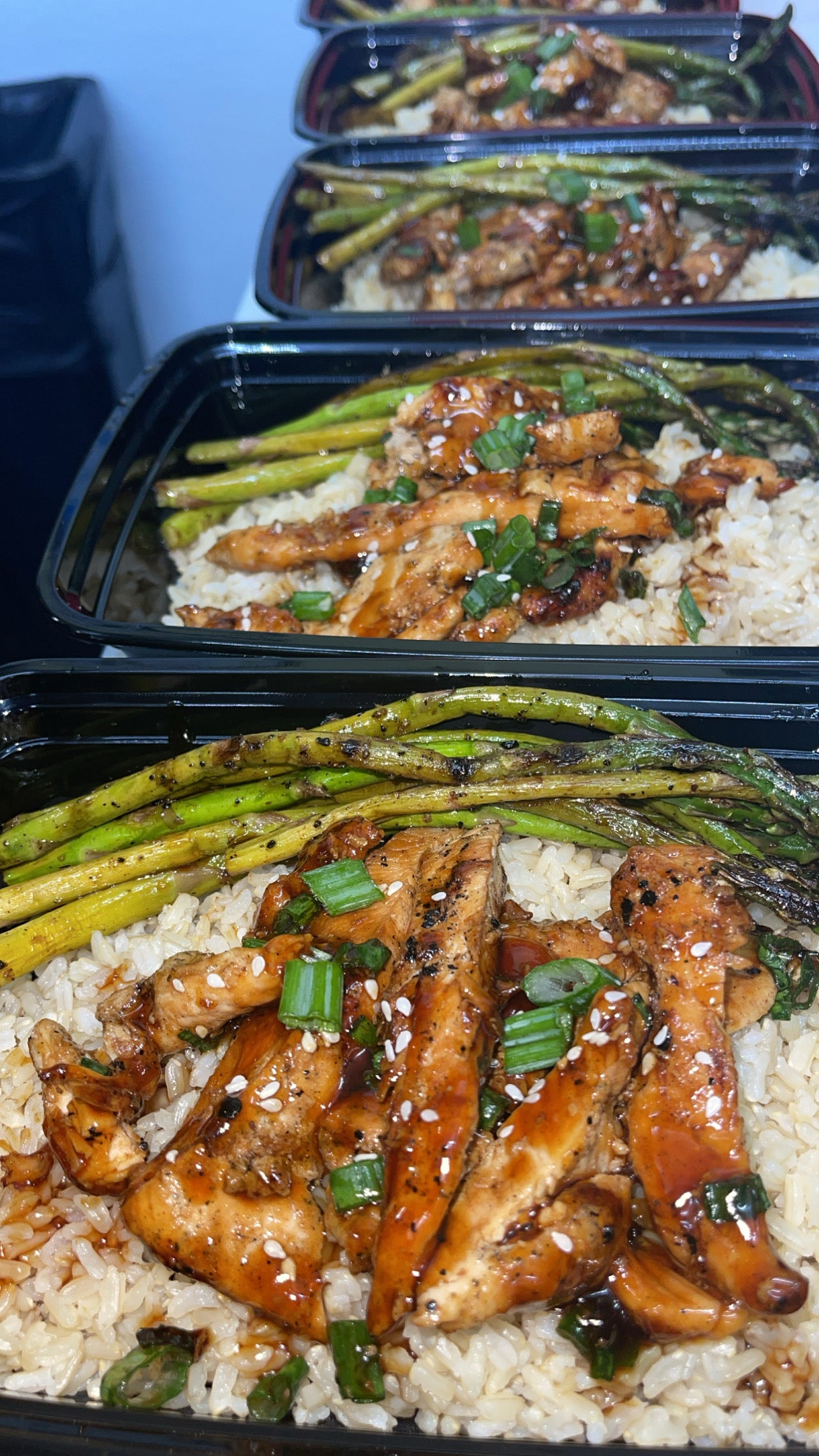 Low Cal Meal Prep Portion